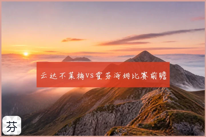 云达不莱梅vs霍芬海姆比赛前瞻